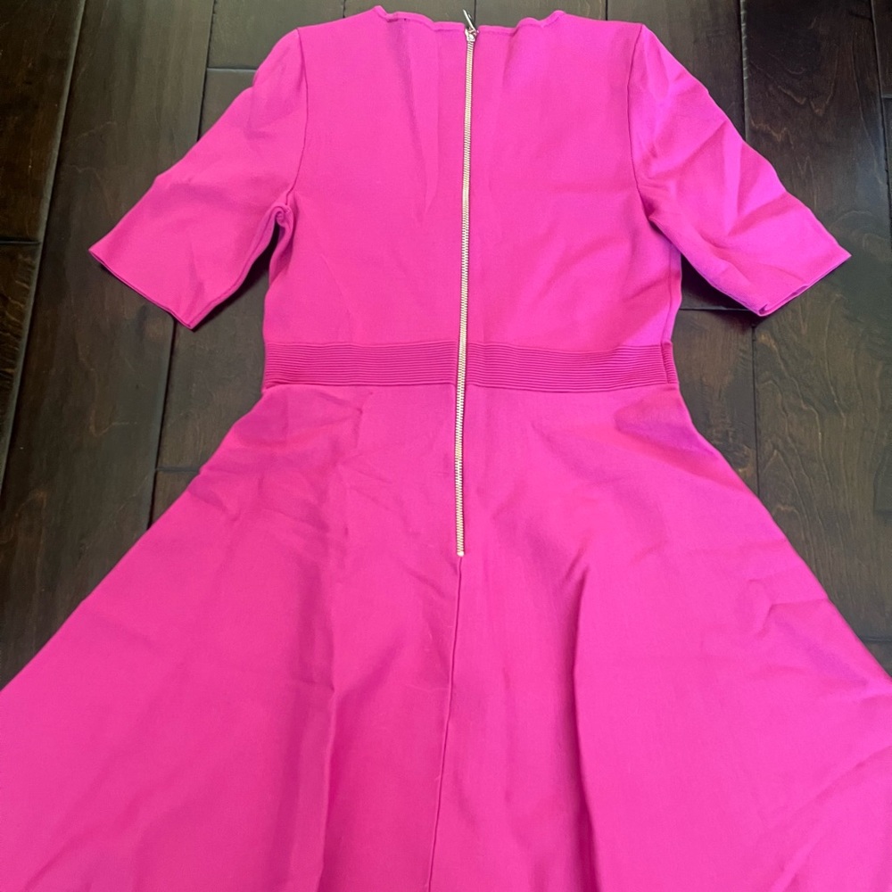 Ted Baker London Mini Dress